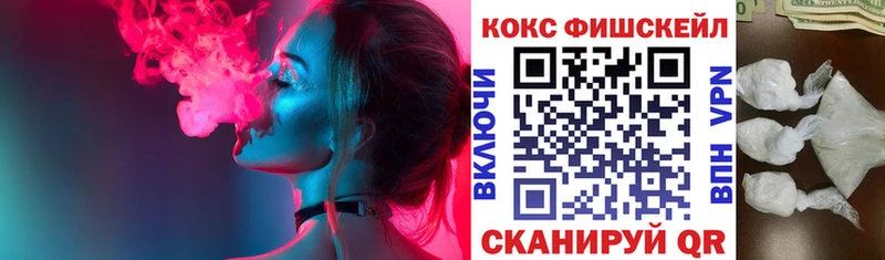 КОКАИН Fish Scale  Купить закладки  Славгород 