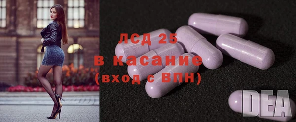 ПСИЛОЦИБИНОВЫЕ ГРИБЫ Магас