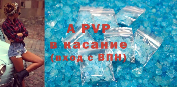 ПСИЛОЦИБИНОВЫЕ ГРИБЫ Магас