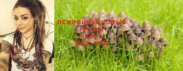 a pvp Магадан