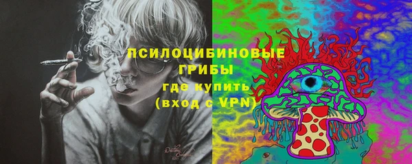 ПСИЛОЦИБИНОВЫЕ ГРИБЫ Магас