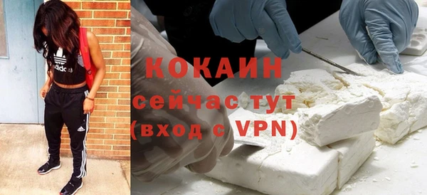ПСИЛОЦИБИНОВЫЕ ГРИБЫ Магас